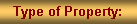Text Box: Type of Property: